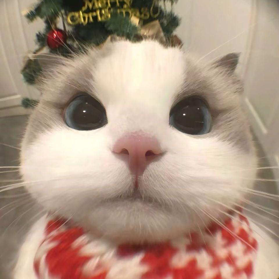 aRIduke avatar