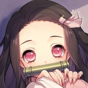 nezuko_1197 avatar