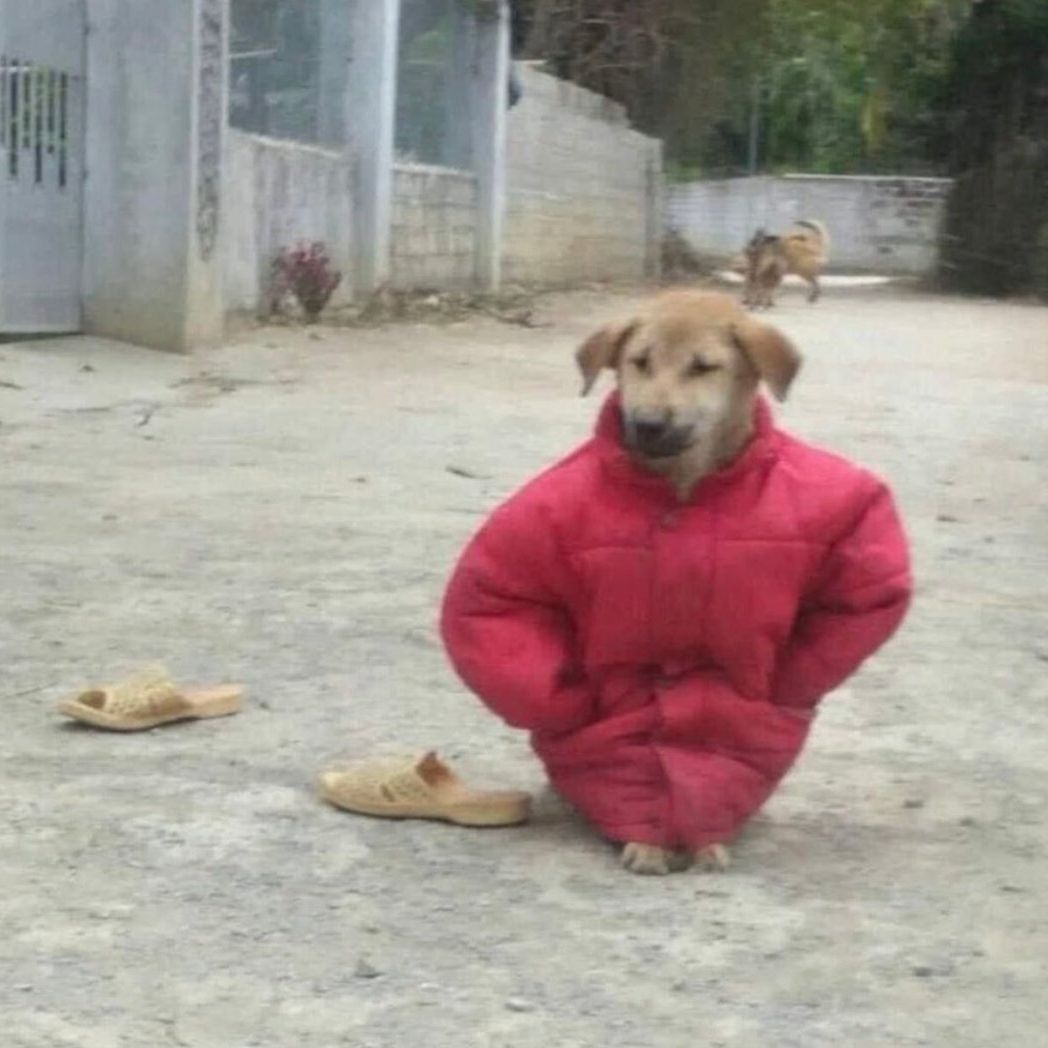 fKGOODME