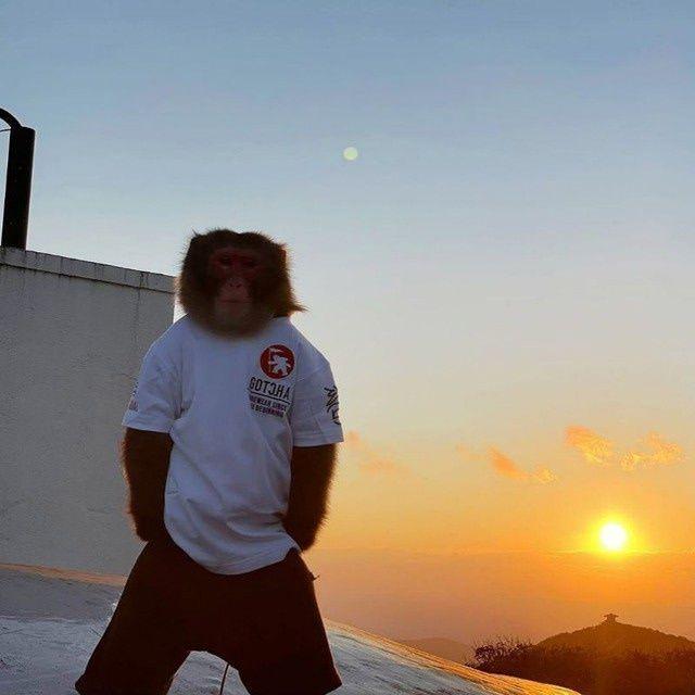_Gr1go_ avatar