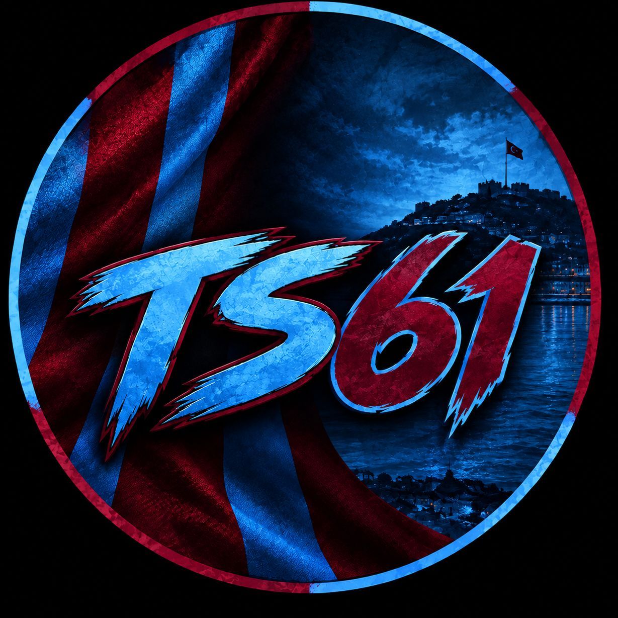 TS61