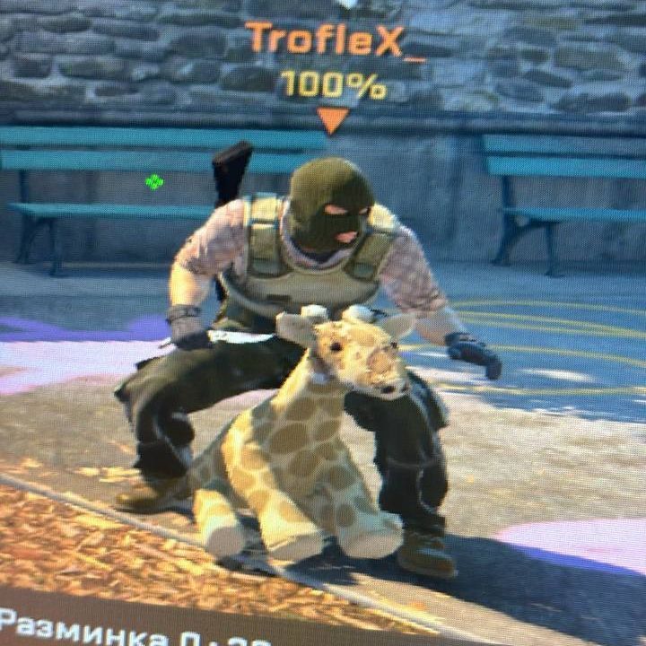team_TrofleX_