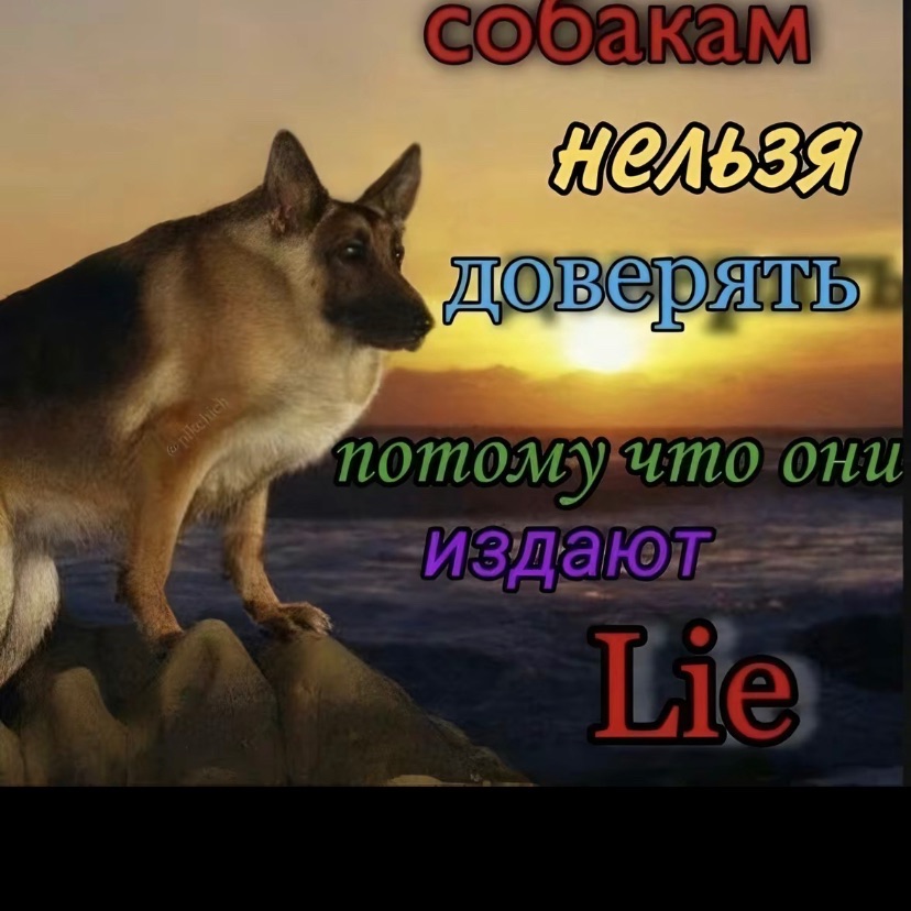 FedyaFleshka