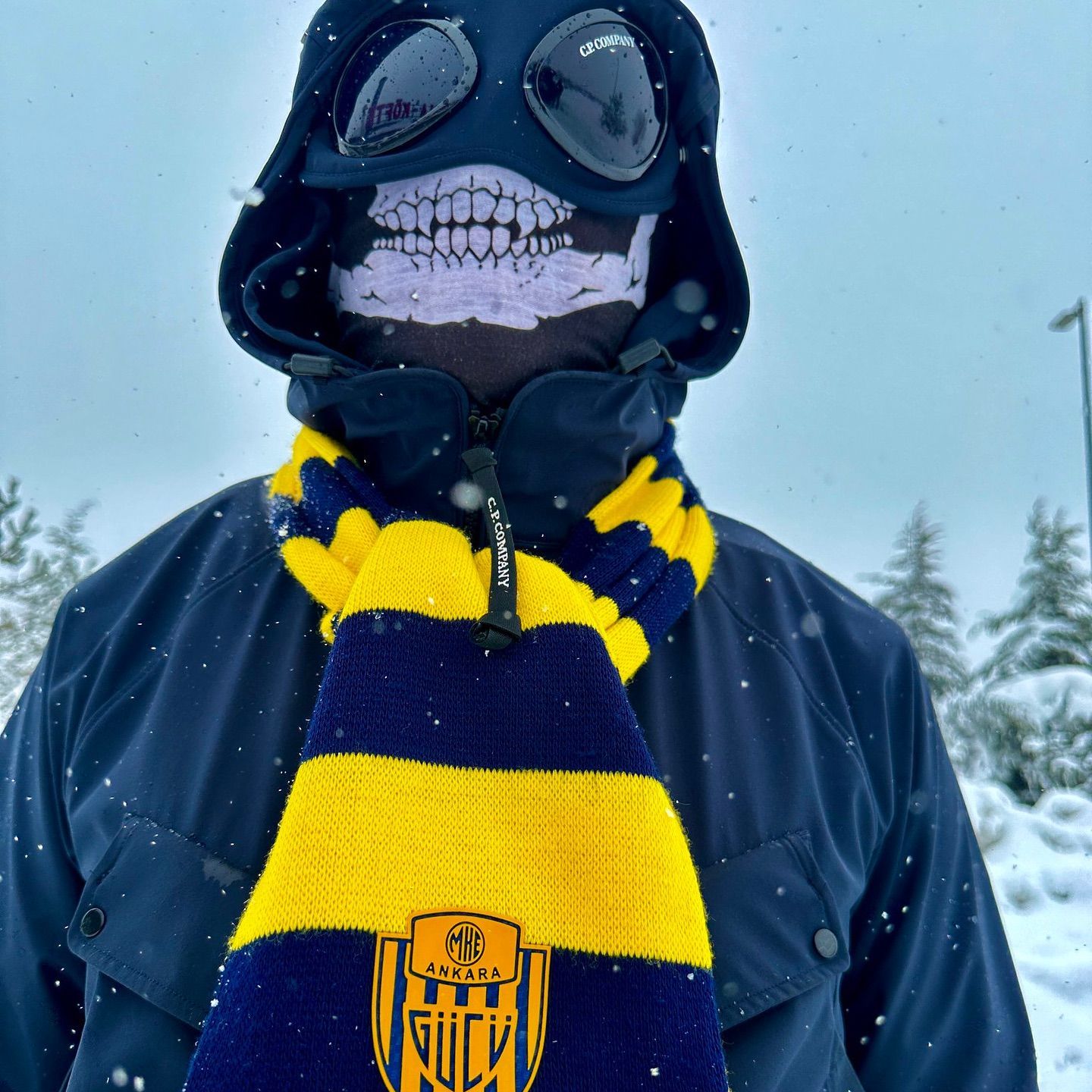 Varquen_