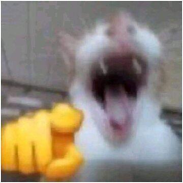 mh00n avatar