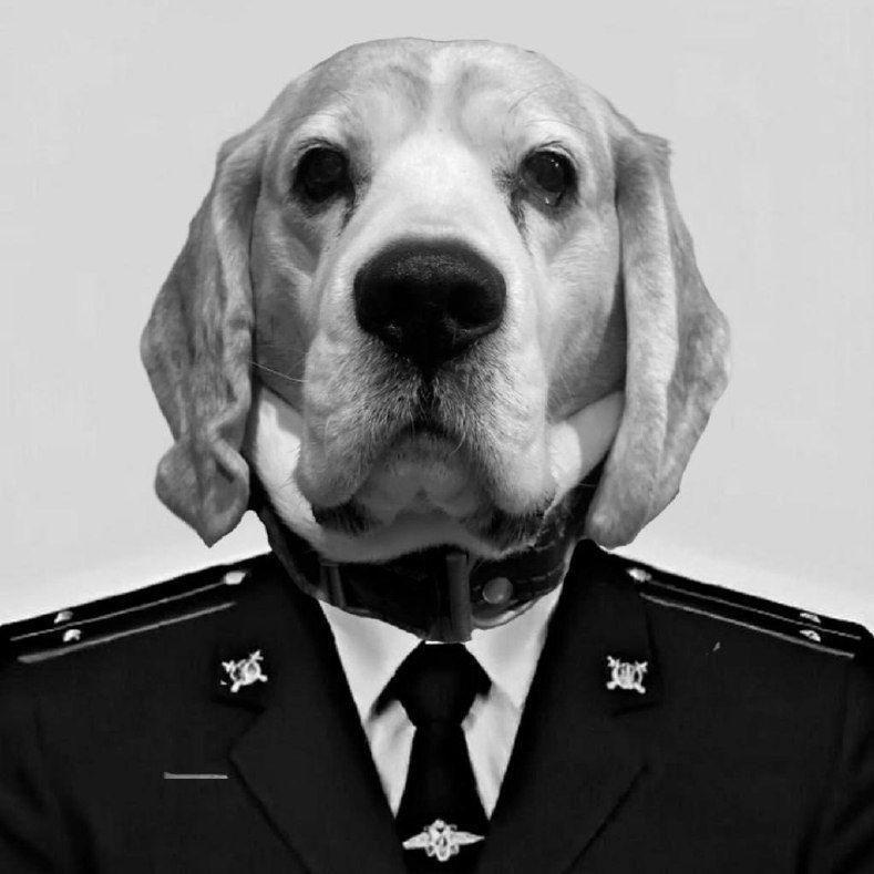 ZekTaGiRoV avatar