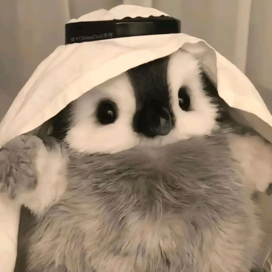 xWoush