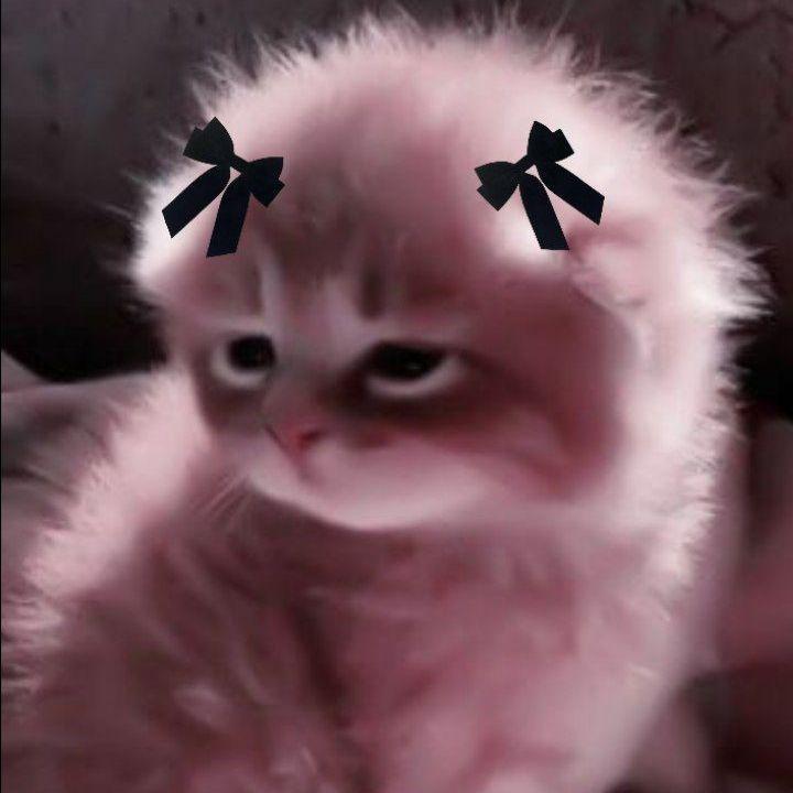 frozenn9 avatar