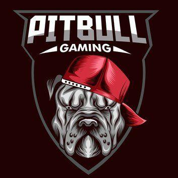 Player PitBuLL_1991 avatar