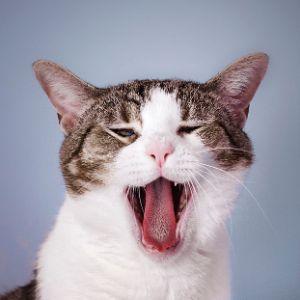 mAAAAjnixP avatar