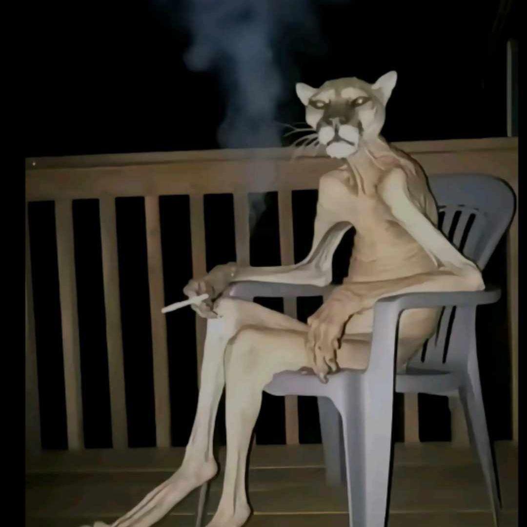 Kastracjusz avatar