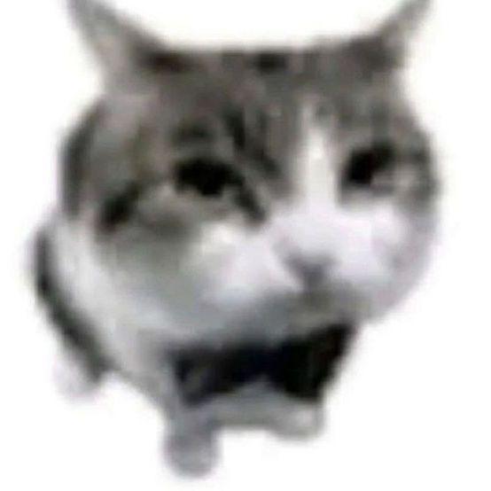 Qu1nzy09 avatar