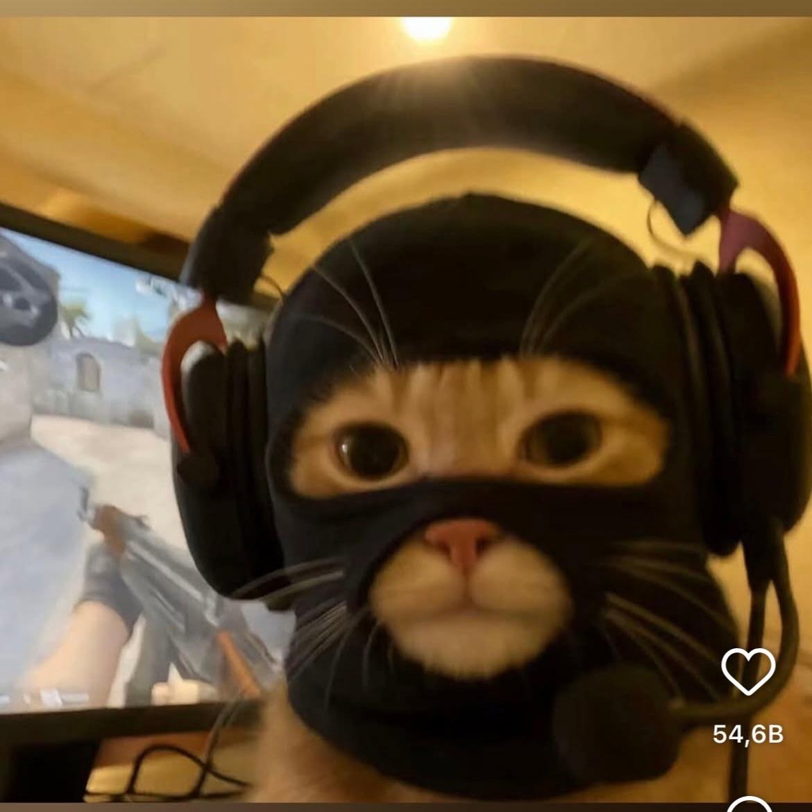 Wuzy avatar