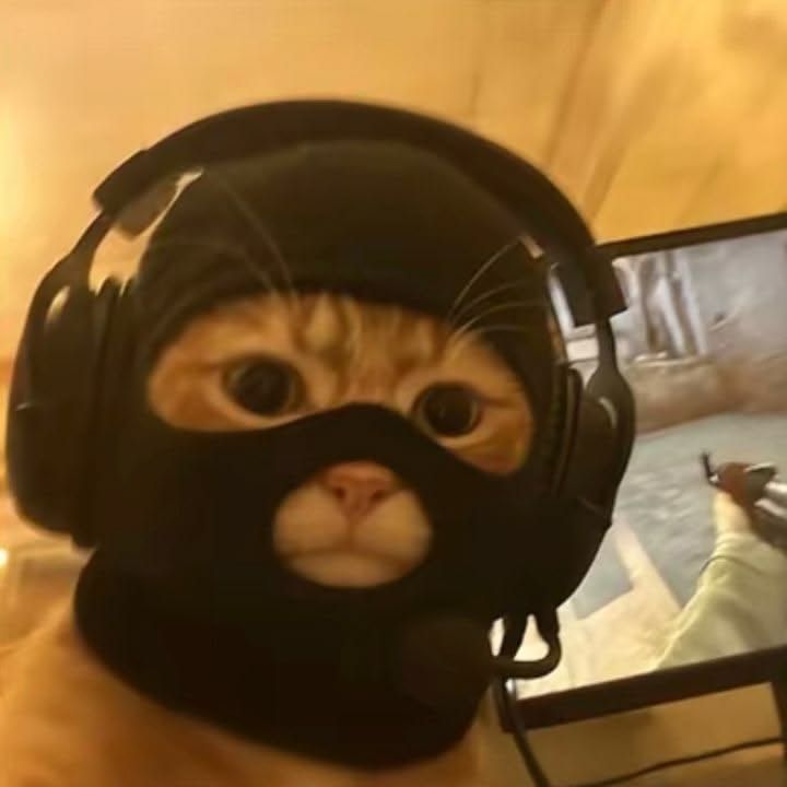 Gronning FACEIT avatar