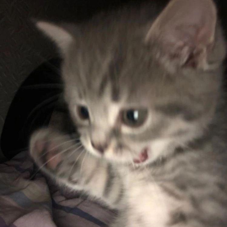 Franeslaw avatar