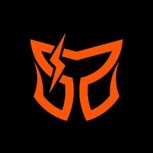 TeamSystorm