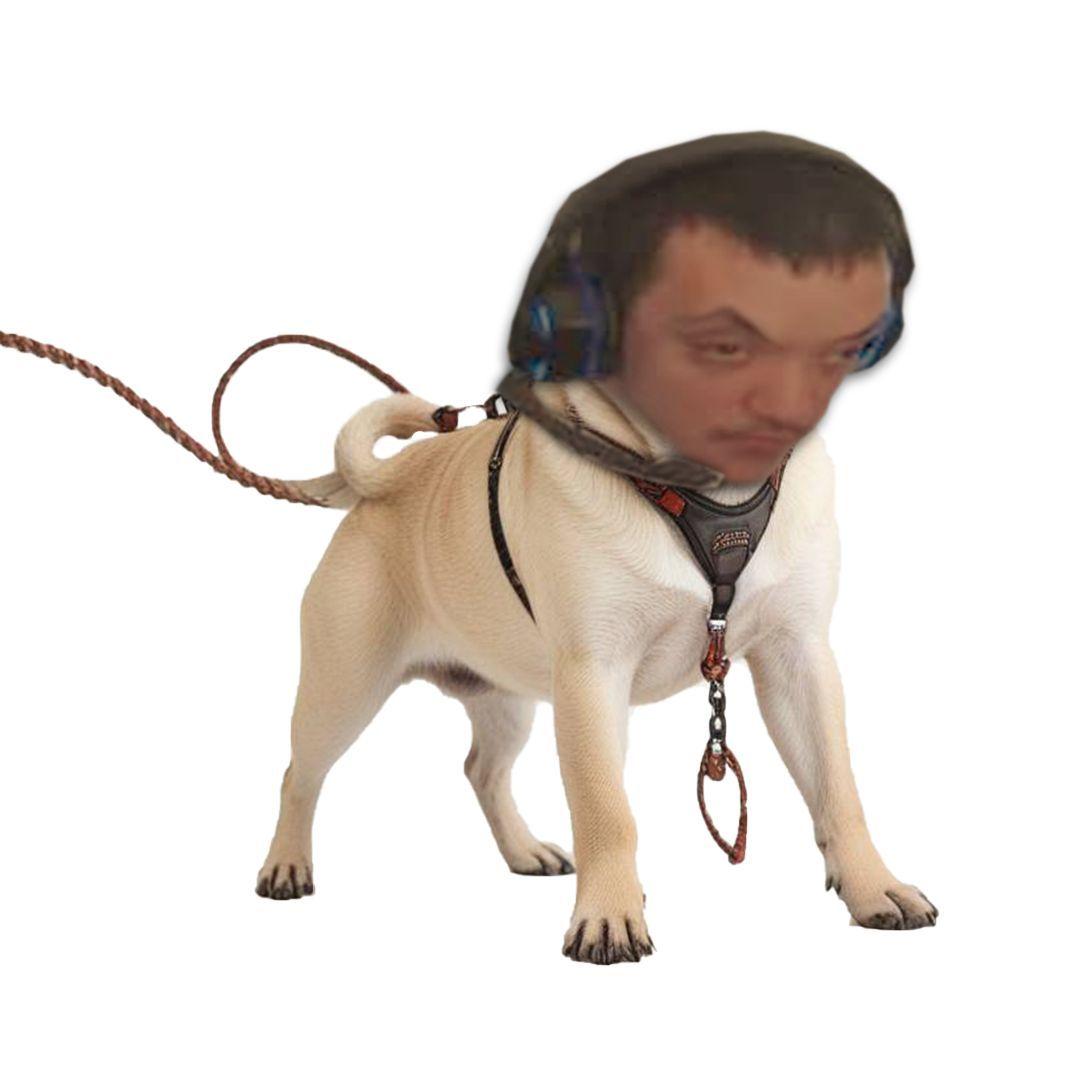 zekazeka88