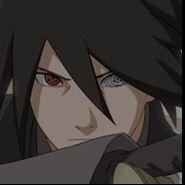 Toni---