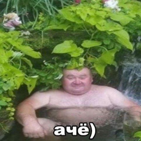 redak46 avatar