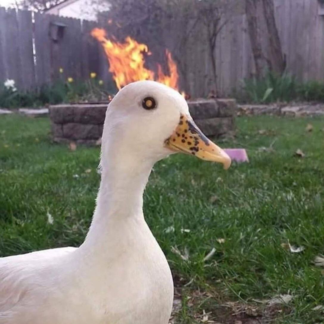 5200
