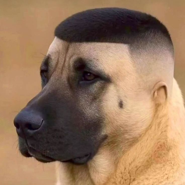 team_G4Z0SV4RK1N