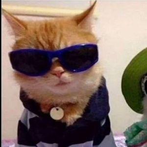 grits1de avatar
