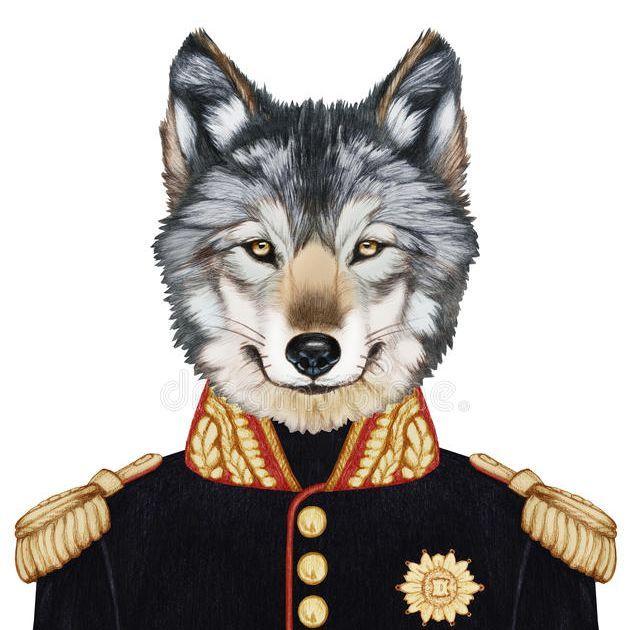 CorporalWolf avatar