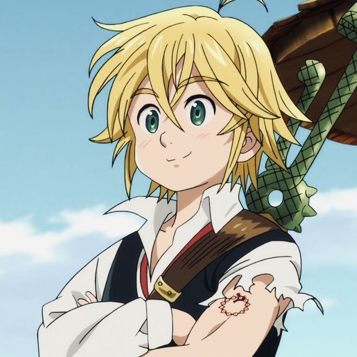 team_meliodass1_