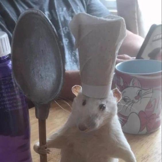 Buenas Tardes