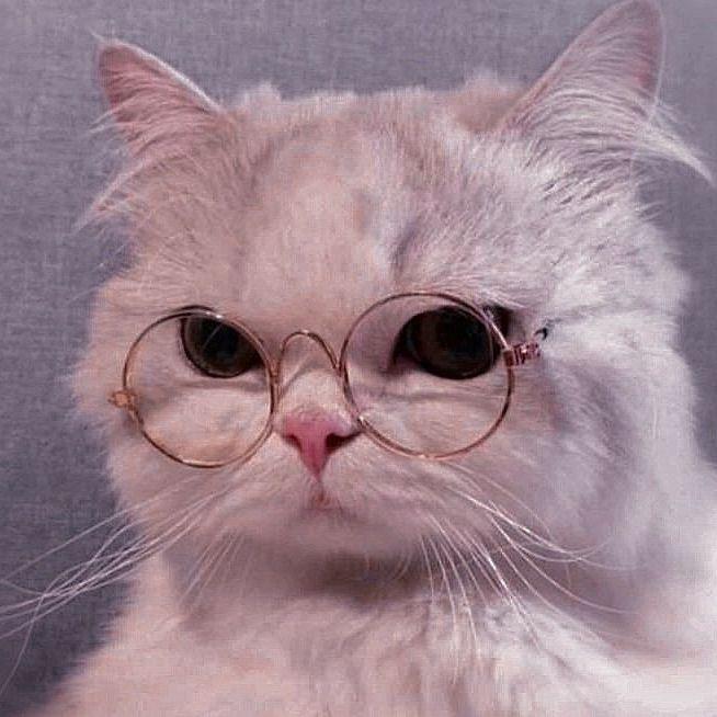 _Moji