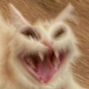 gnyffel
