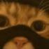 mcf1urry_ avatar