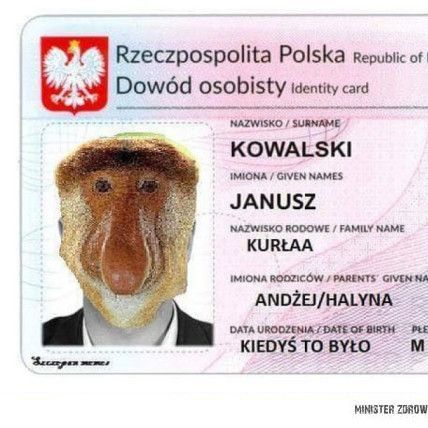 KrojeCebule