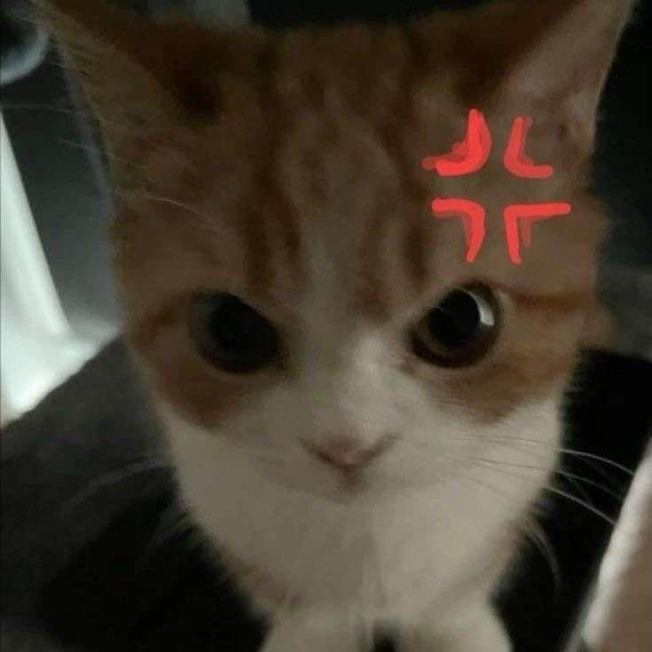 regelegen avatar