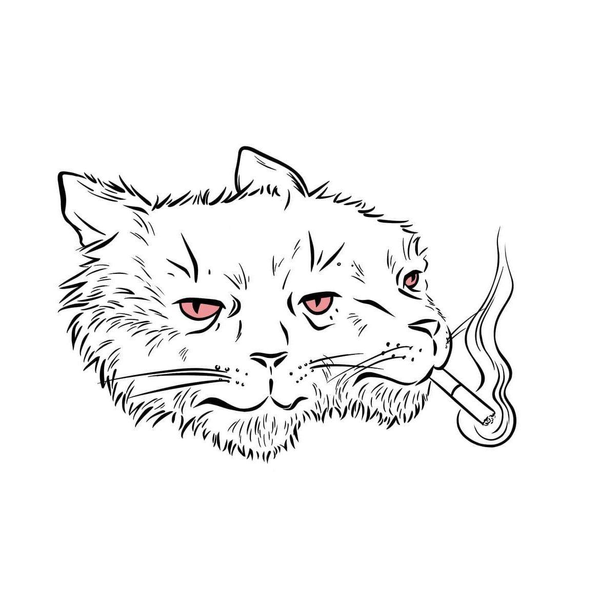 kotevg avatar