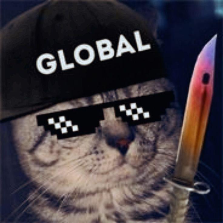 swedWW avatar