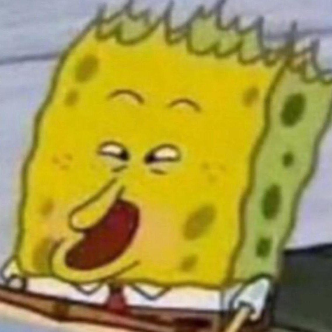Bonkk666