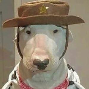 CamatozzMH avatar