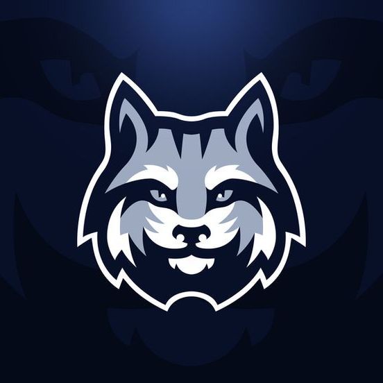 LYNX TEAM
