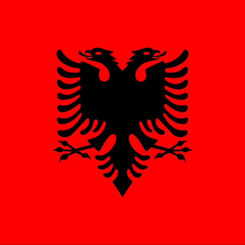 dizik7