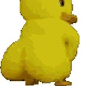 maniakoesV2