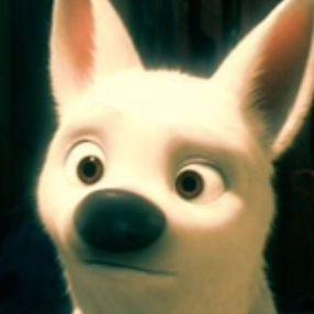 Volamakk avatar