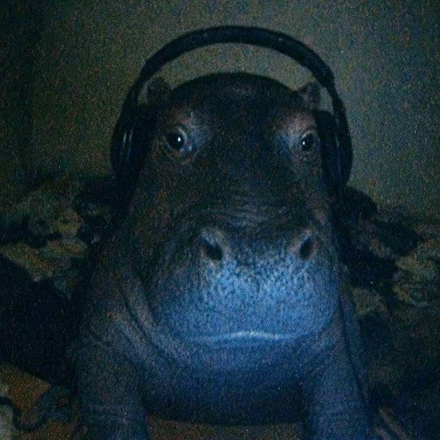 glloomy