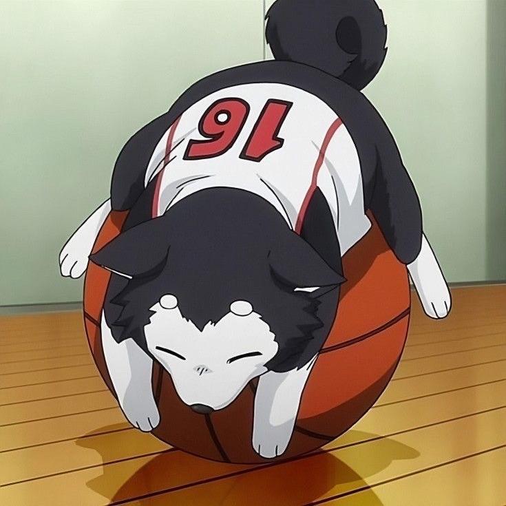 yoKABi444 avatar