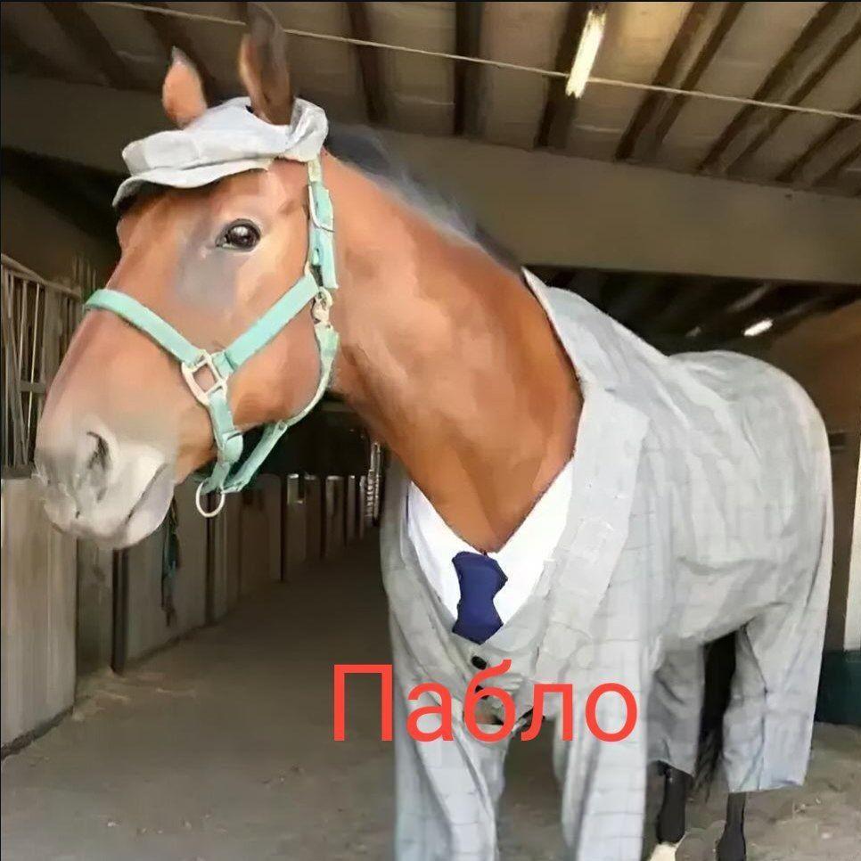 leharider avatar