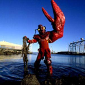 Lobsterman44 avatar