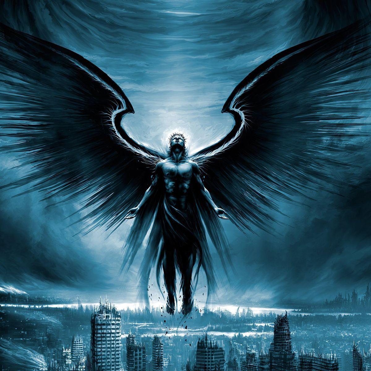 Hoary_Angel