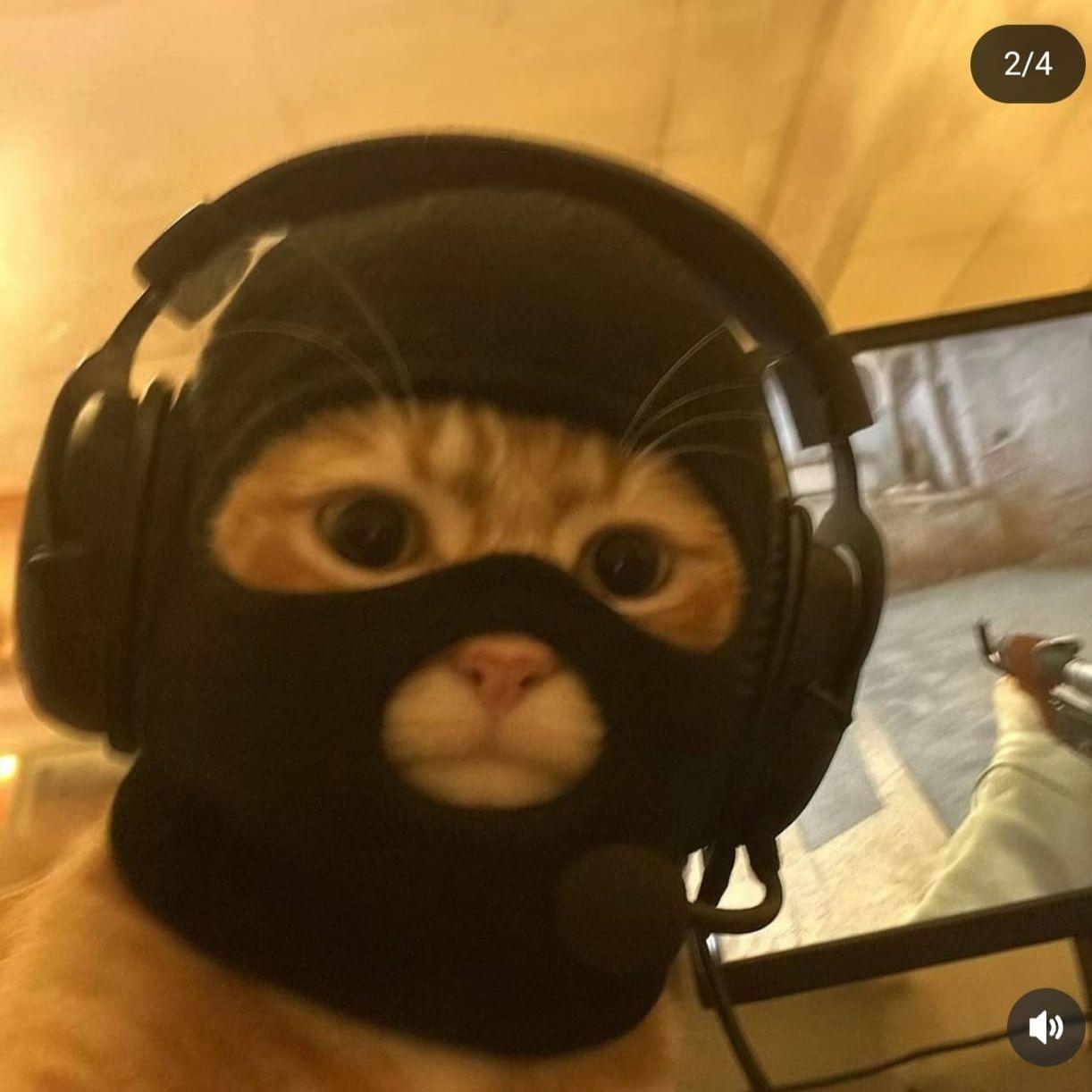 pTk92 avatar