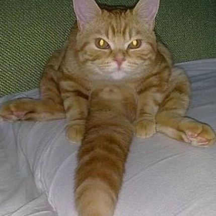 SAWIWOJ