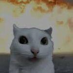 Radvis_ avatar